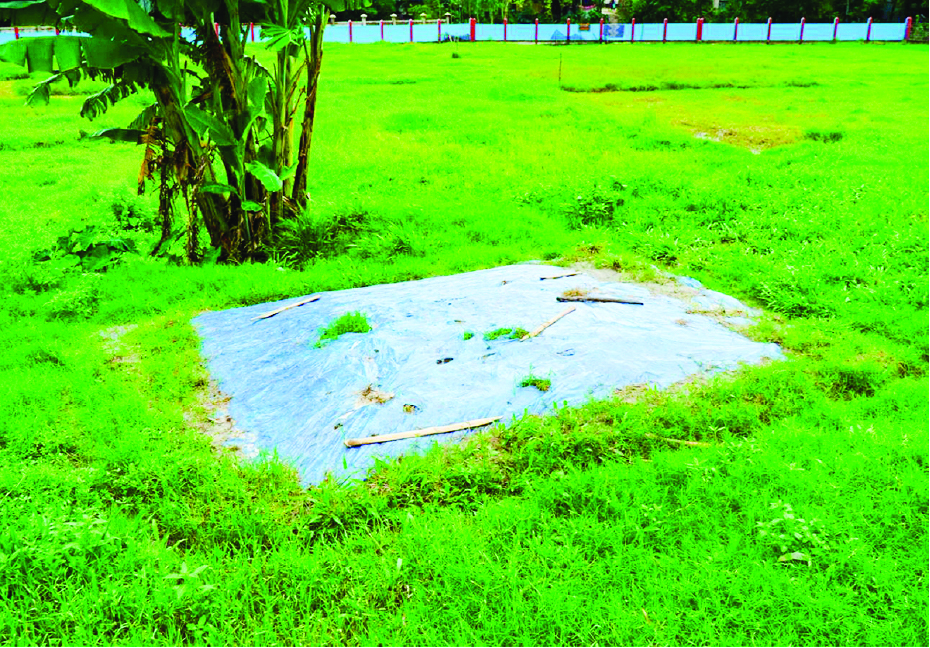 Image of মো: তোফাজ্জল হোসেন